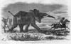 Elephant Charge Black And White Image